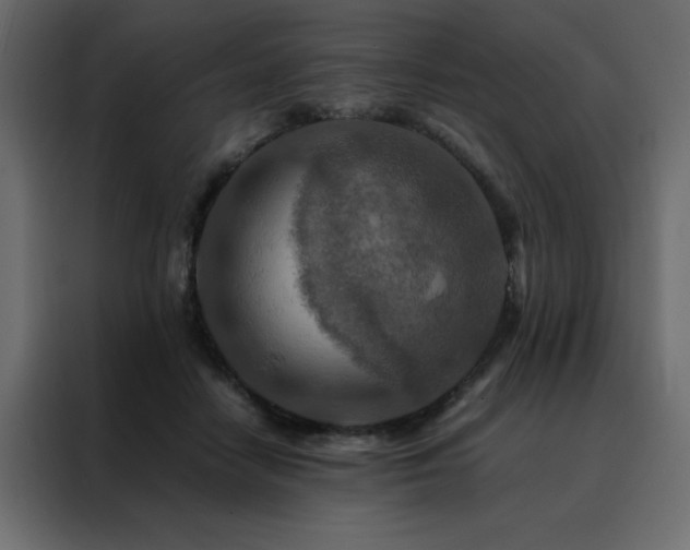 X0000088460458200705221346