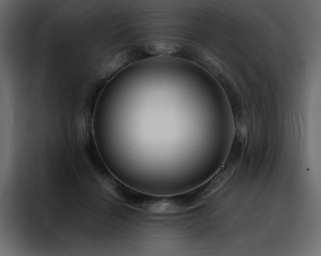 X0000088460460200705221346