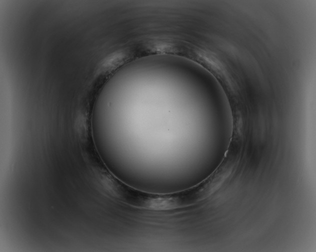X0000088460461200705221346