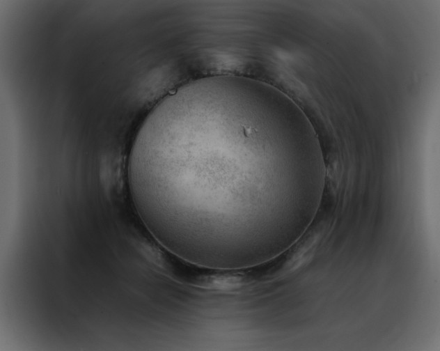 X0000088460462200705221346