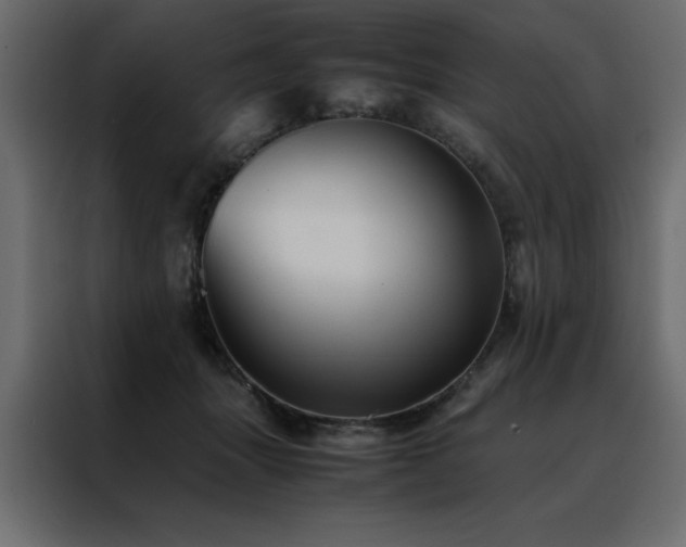 X0000088460463200705221346