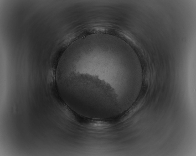 X0000088460467200705221346