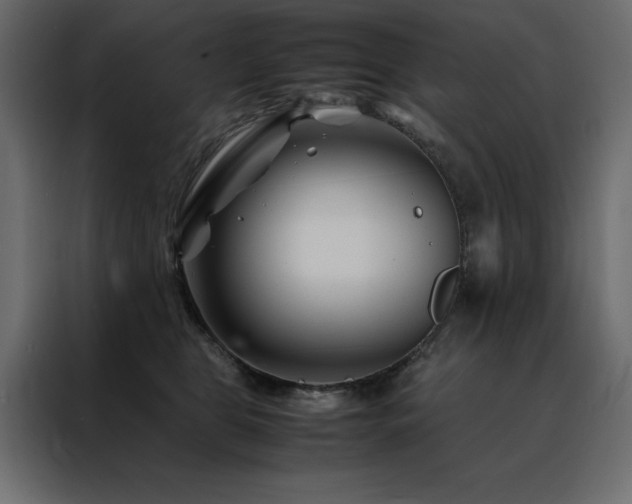 X0000088460469200705221346