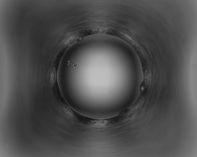 X0000088460474200705221346