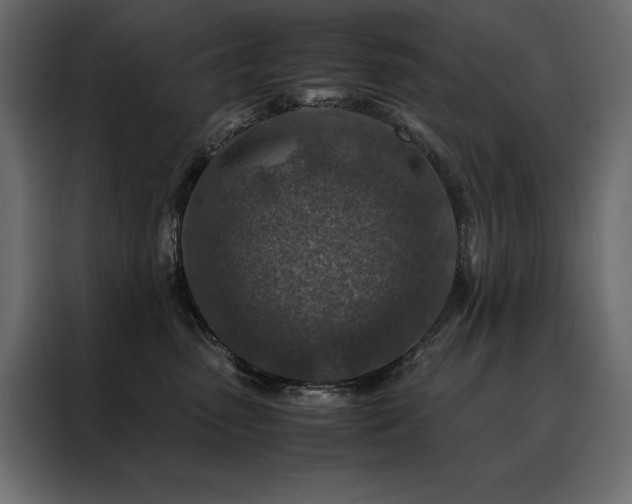 X0000088460475200705221346