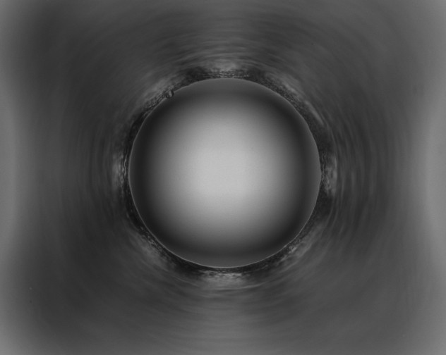 X0000088460476200705221346