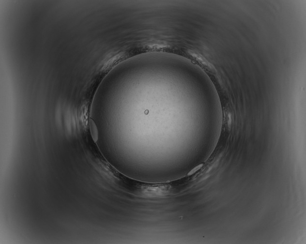 X0000088460479200705221346