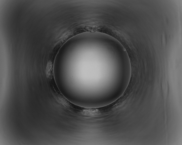 X0000088460480200705221346