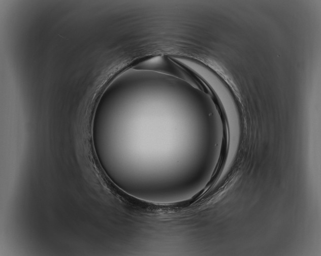 X0000088460481200705221346