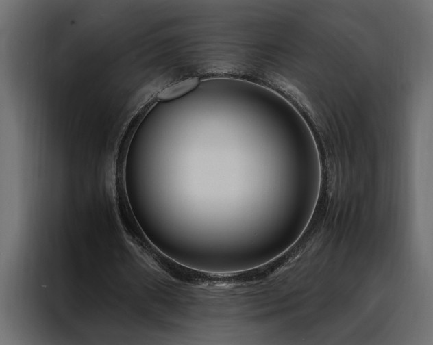 X0000088460482200705221346