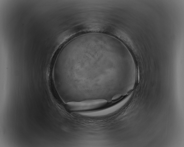 X0000088460483200705221346