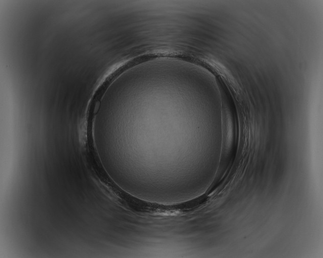 X0000088460484200705221346