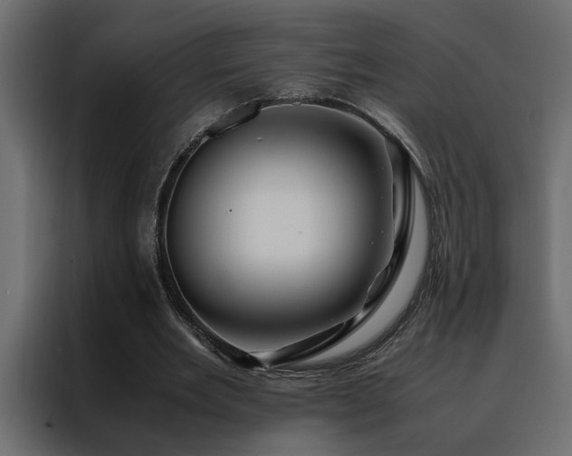 X0000088460485200705221346