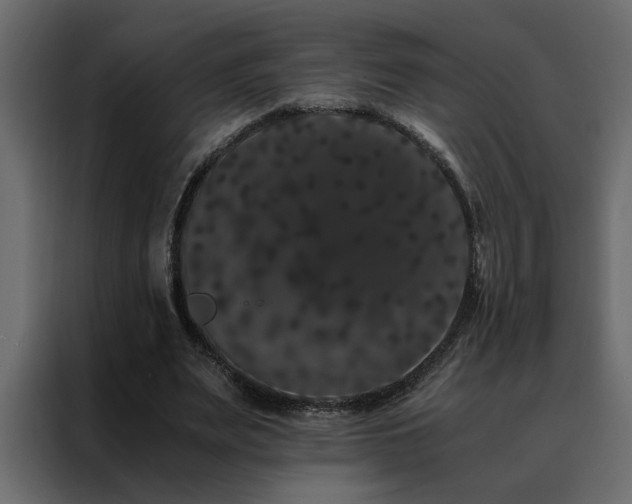 X0000088460487200705221346