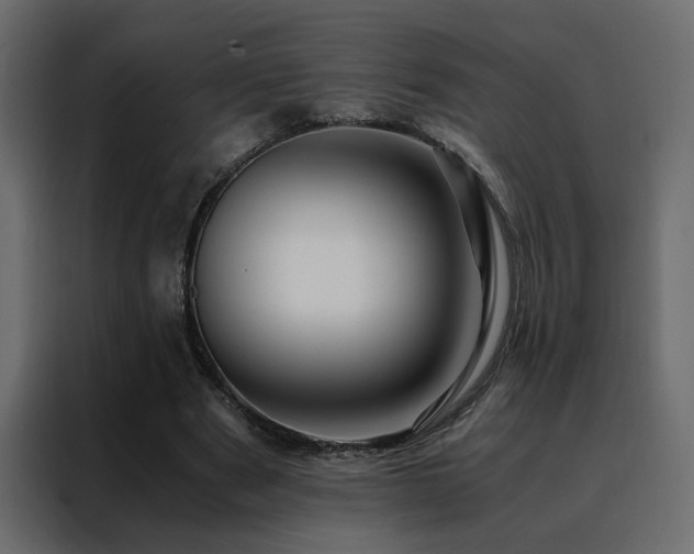 X0000088460489200705221346