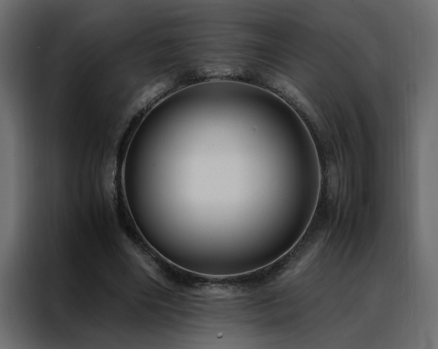 X0000088460490200705221345