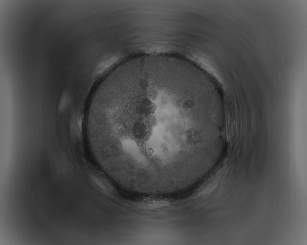 X0000088460491200705221345