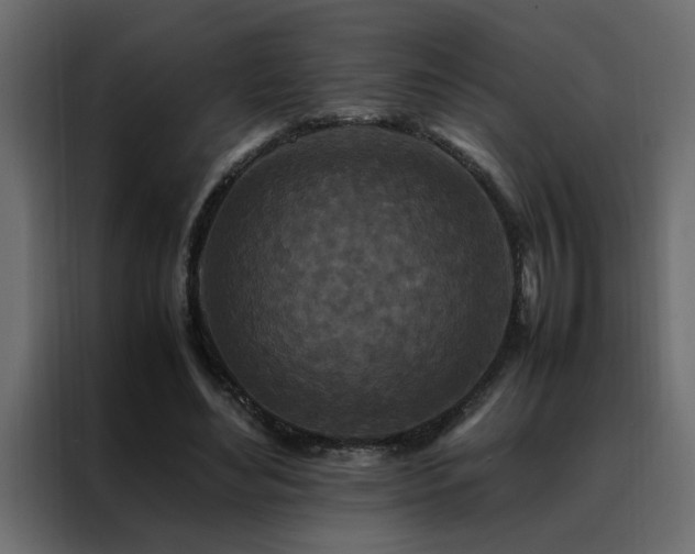 X0000088460492200705221345