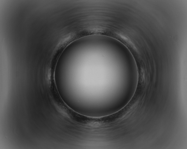 X0000088460494200705221345