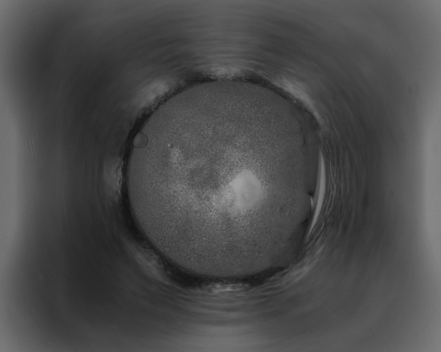 X0000088460495200705221345