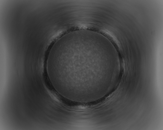 X0000088460496200705221345