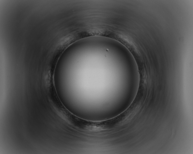 X0000088460498200705221345