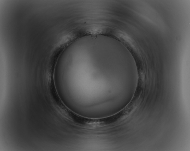 X0000088460499200705221345