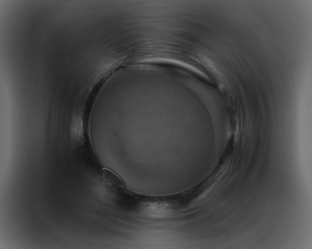 X0000088460500200705221345