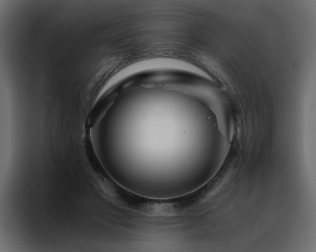 X0000088460501200705221345