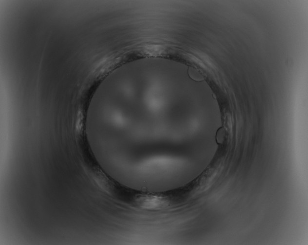 X0000088460507200705221345