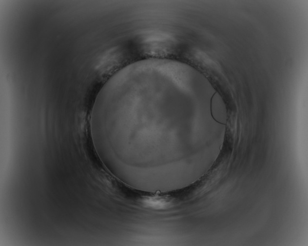 X0000088460511200705221345