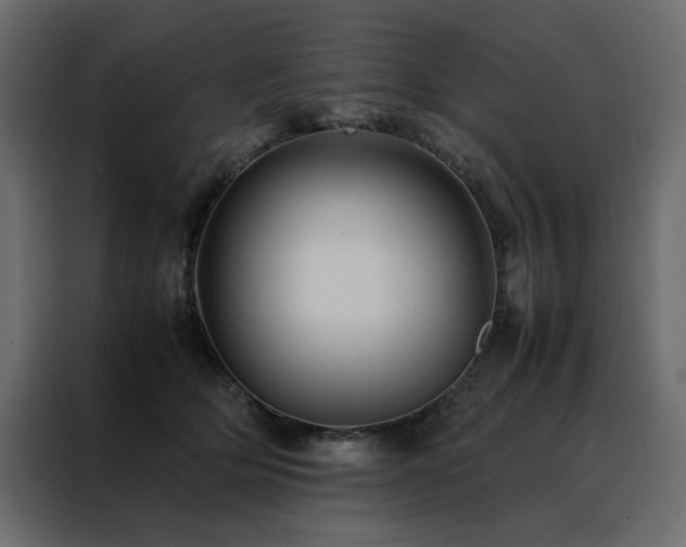 X0000088460514200705221345