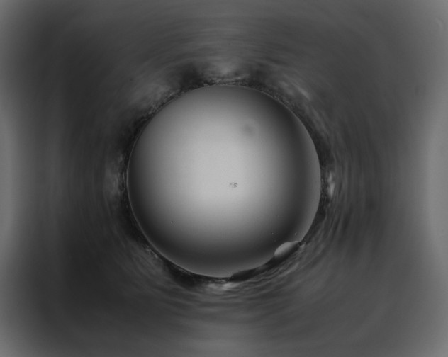 X0000088460515200705221345