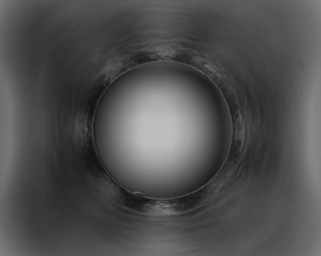 X0000088460518200705221345