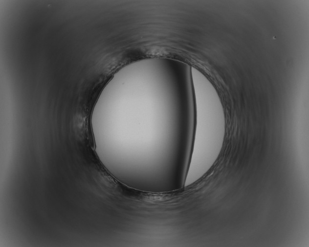 X0000088460521200705221345