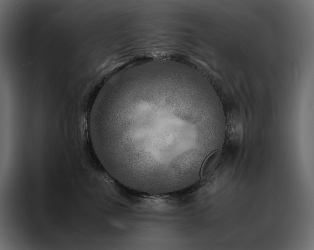 X0000088460523200705221345