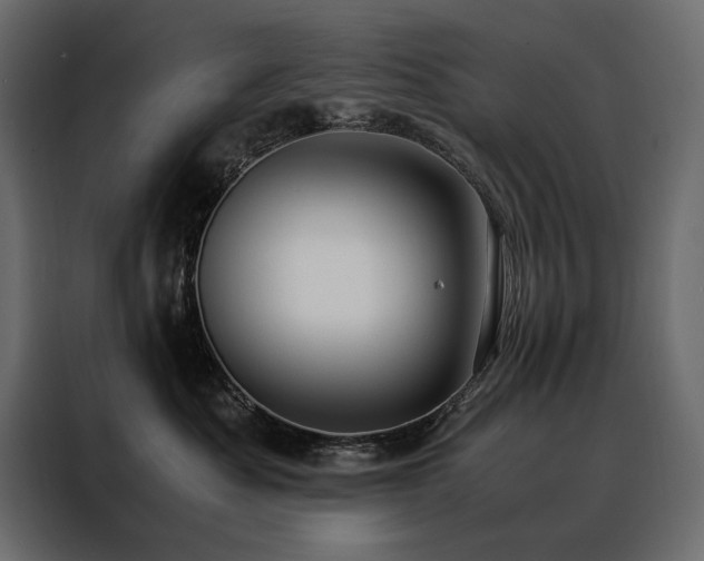 X0000088460525200705221345