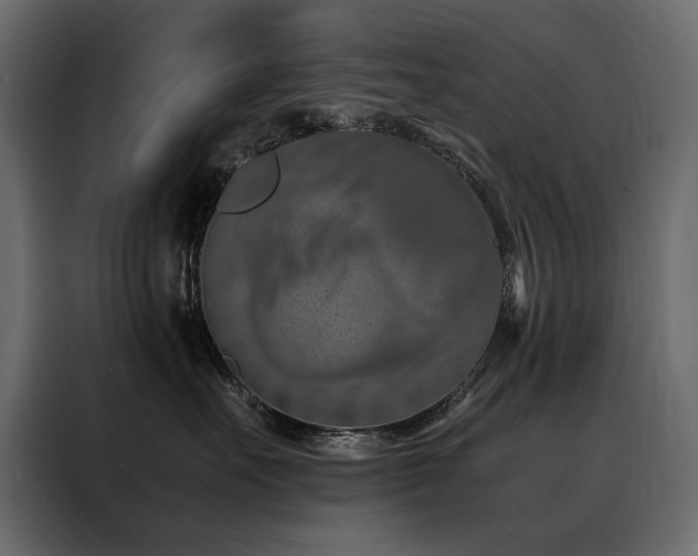 X0000088460527200705221345