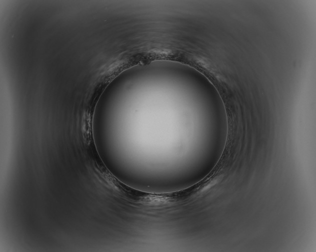 X0000088460528200705221345