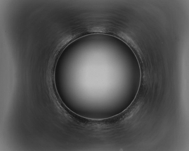X0000088460529200705221344