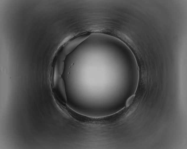 X0000088460530200705221344