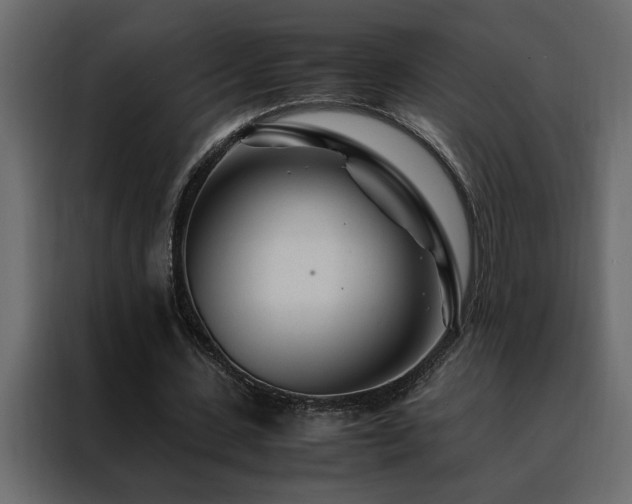 X0000088460531200705221344