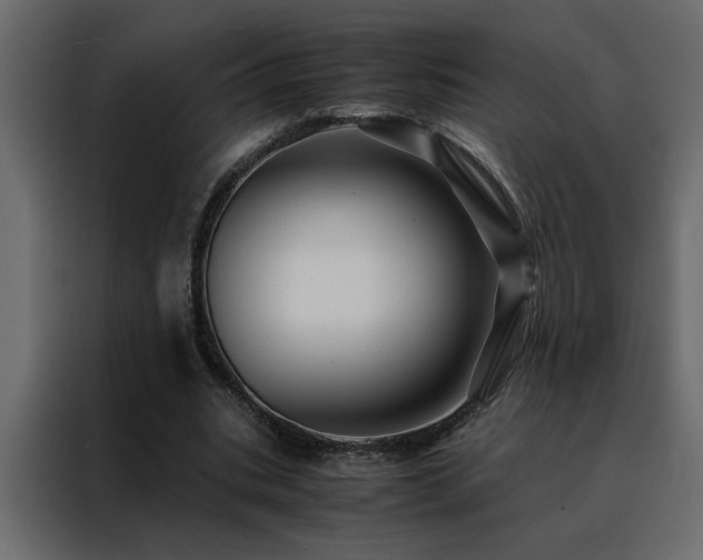 X0000088460535200705221344