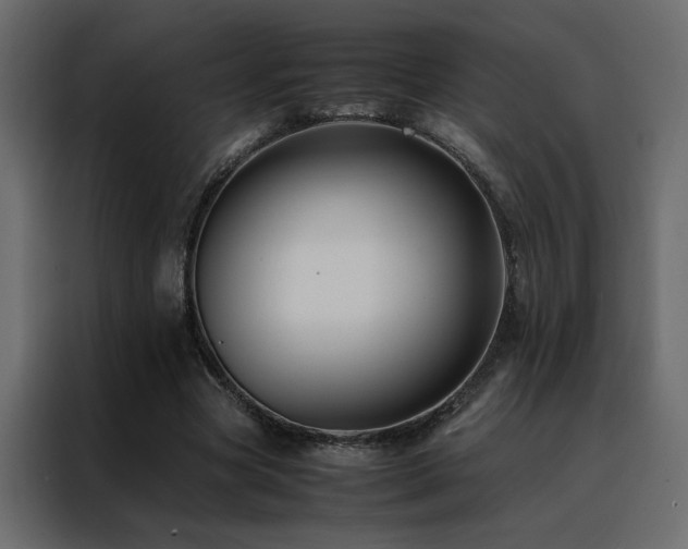 X0000088460537200705221344