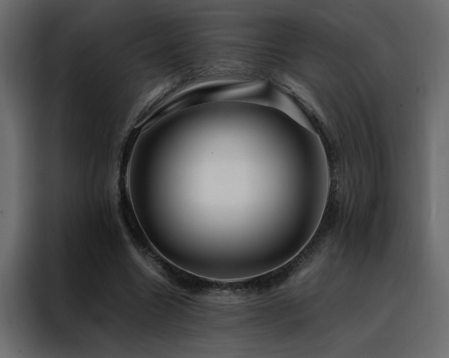 X0000088460538200705221344
