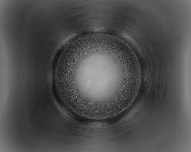 X0000088460542200705221345