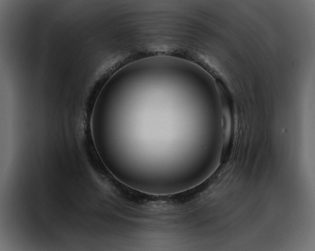 X0000088460544200705221345