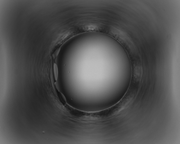 X0000088460545200705221345