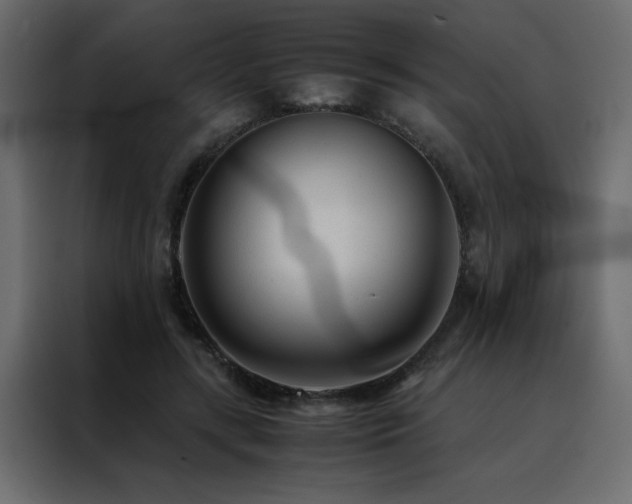 X0000088460547200705221345
