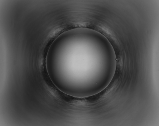 X0000088460548200705221345